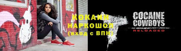 МДПВ Каменногорск