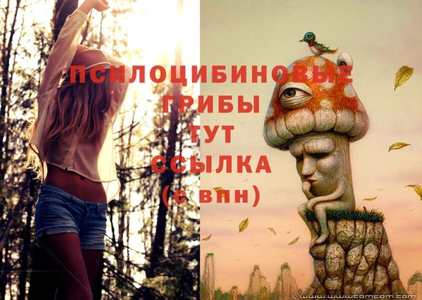 MESCALINE Покров