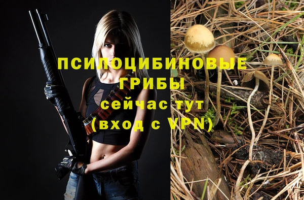 прущие крисы Каменка