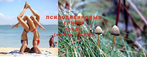 MESCALINE Покров