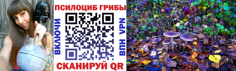 Псилоцибиновые грибы Psilocybe  ссылка на мегу ТОР  Клинцы  дарнет шоп 