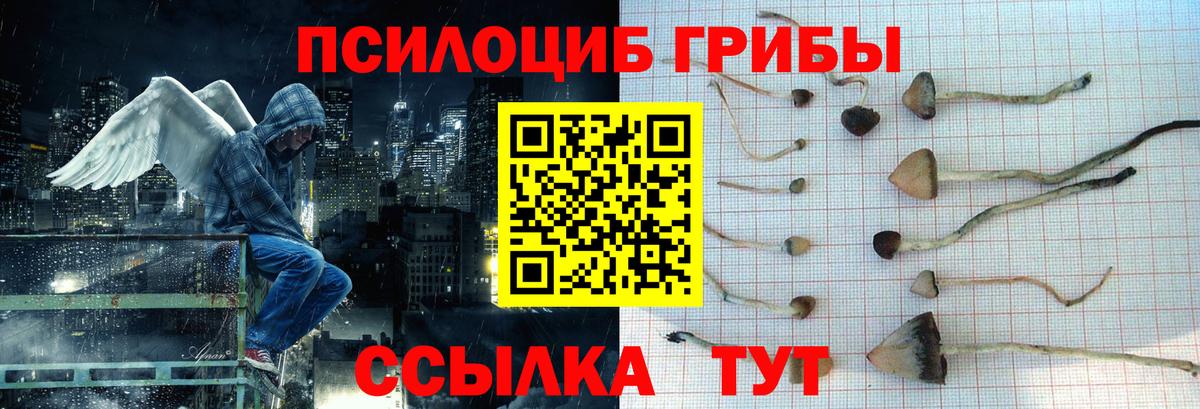 Галлюциногенные грибы Cubensis Клинцы