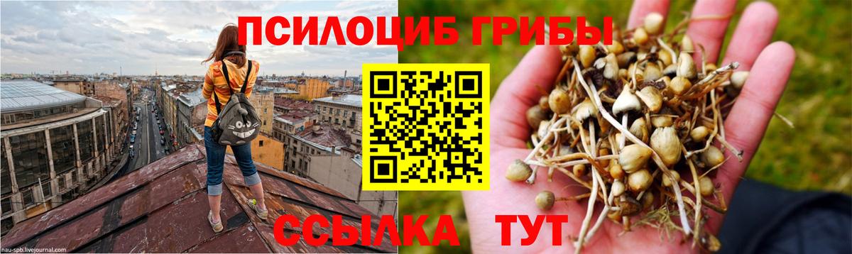 Клинцы  Галлюциногенные грибы GOLDEN TEACHER  Вход с VPN  Псилоцибиновые грибы Magic Shrooms 