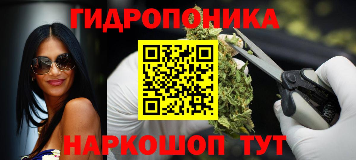 Бошки Шишки гибрид  Конопля индика  Клинцы  Вход с VPN  Шишки марихуана Bruce Banner 